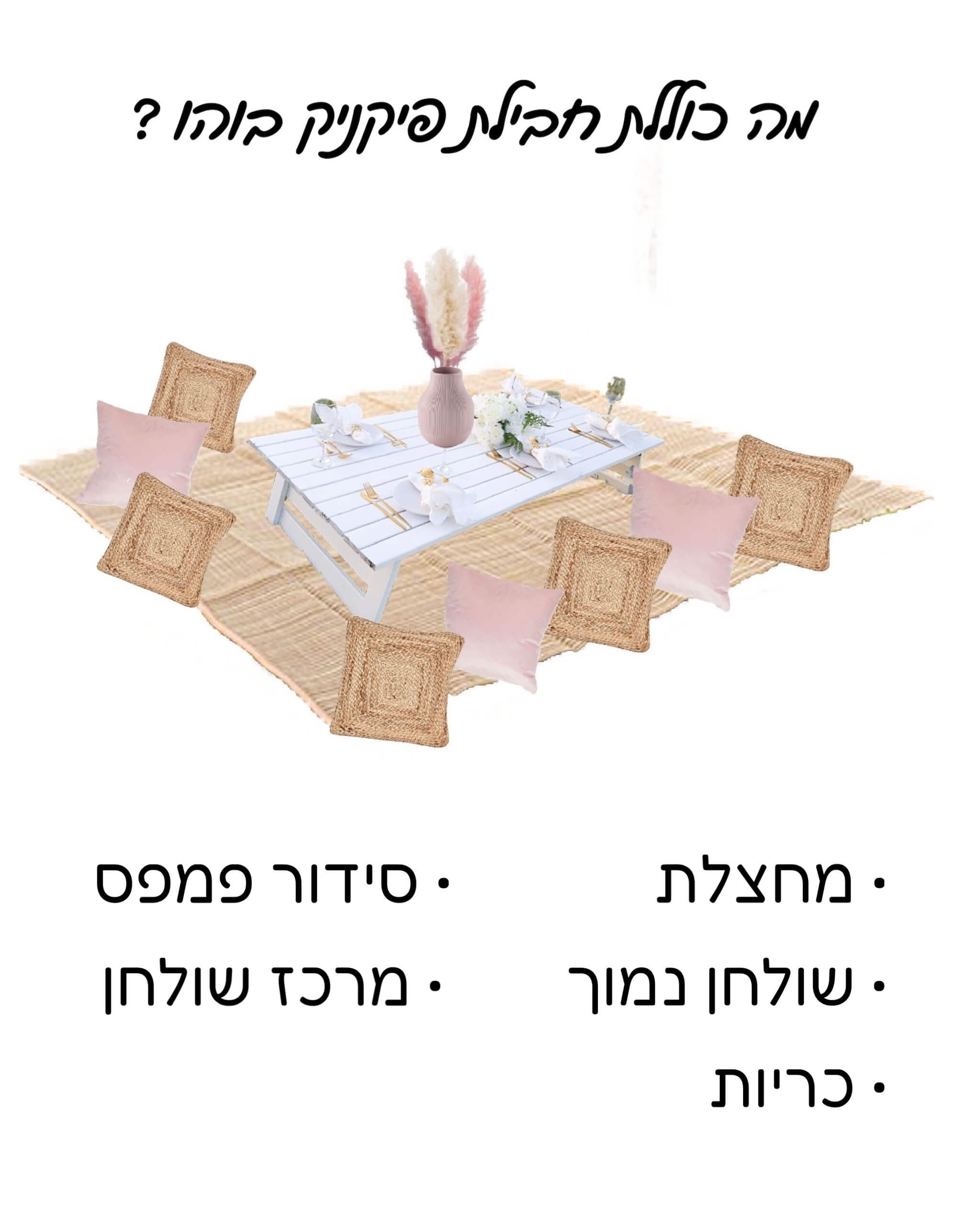 פיקניק בוהו